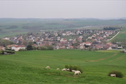 Couvreur Bainville-sur-Madon