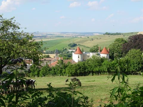 Couvreur Belleau