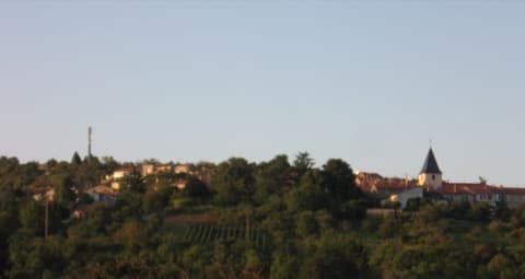 Couvreur Chaligny