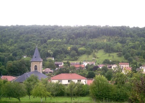 Couvreur Marbache